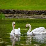 CCTV13新闻频道在线直播高清观看入口 d16a8trazv