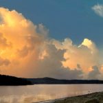 CCTV19高清在线直播观看入口及频道节目单 msqlc