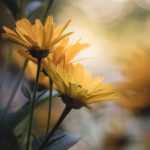 CCTV1综合频道今日节目表直播全览 qdmj69cqk