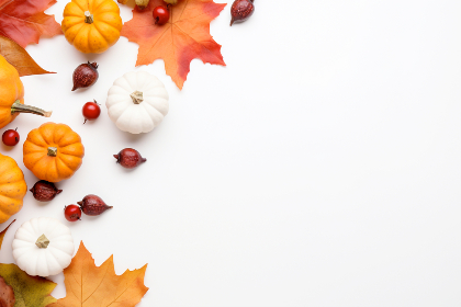 CCTV15音乐频道现场直播高清在线观看