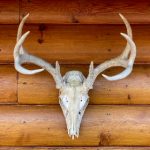 CCTV13新闻频道在线直播观看手机电视高清流畅播放 sfs3tgoiw