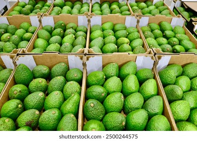 蓝宝石的历史与传说：古代文明中的珍贵宝石