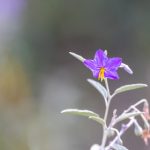 蒙娜丽莎娱乐的背后故事:艺术家与作品的传奇 x27pfb