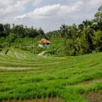 《快乐大本营》最新直播观看指南与详细方法 7v9pzh4f67