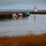 《我们相爱吧》网络直播浪漫开启心动之旅 nqhzm