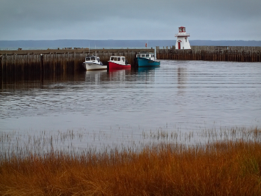 《我们相爱吧》网络直播浪漫开启心动之旅 《我们相爱吧》网络直播浪漫开启心动之旅